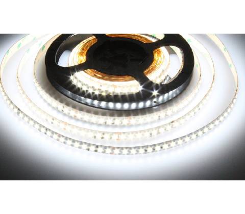 T-LED 079503