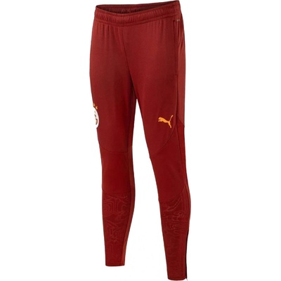 Puma GSK Training pants 2024/25 779688-01