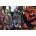 Trefl - Puzzle Batman Ready for Action - 160 piese