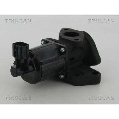 AGR - Ventil TRISCAN 8813 50007