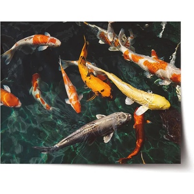 Sablio Plagát Ryby - 60x40 cm