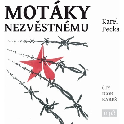 Motáky nezvěstnému - Pecka - Bareš Igor