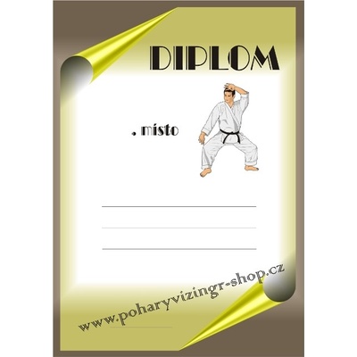 VIZINGR Karate diplom A4 č.8