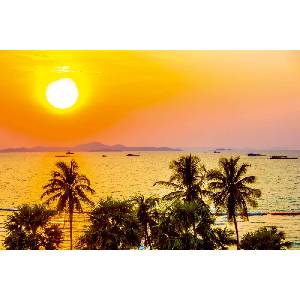 DIMEX ART Флизелинов фототапет палми със залез 375 x 250 см