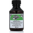 Davines NaturalTech Renewing Shampoo 100 ml
