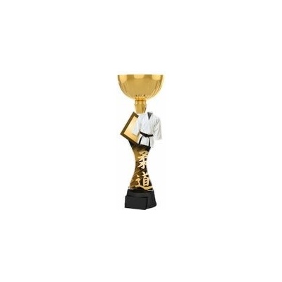 Poháry Bauer Akrylátová trofej ACUPCGNM17 Bojová umění