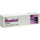 Voľne predajné lieky Mundisal gel.1 x 8 g