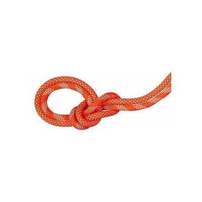 Mammut 9.8 Crag Classic Rope Duodess 80 m