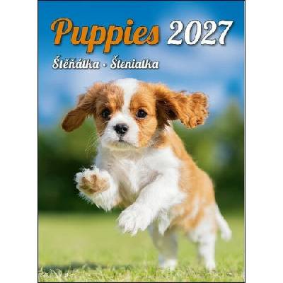 Štěňátka nástěnný Helma 2027