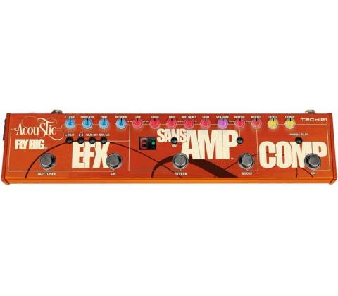Tech 21 Acoustic Fly Rig