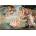 Anatolian - Puzzle Botticelli: The Birth of Venus - 2 000 piese