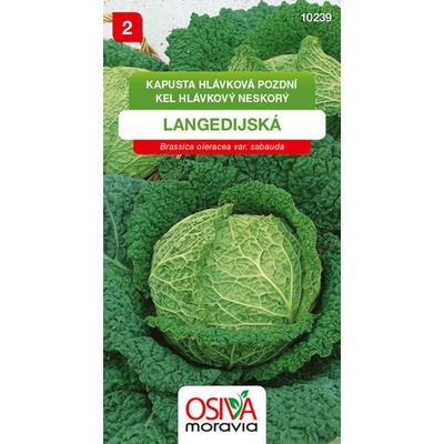 Kapusta hlávková Langedijská 0,8 g