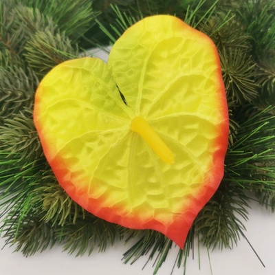 Anthurium saténové