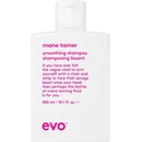 evo Mane Tamer Smoothing Shampoo 300 ml