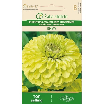 Image 1 of Seklos Циния резеда Envy Zinnia elegans dahlienflora