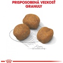 Royal Canin Giant Puppy 1 kg