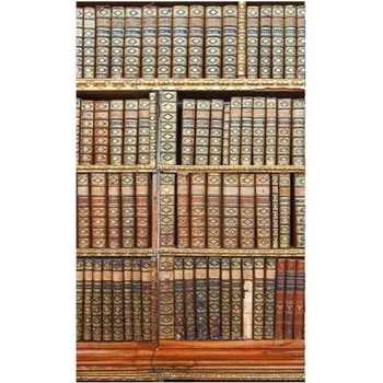 DIMEX ART s. r. o Флизелинов фототапет библиотека 150 x 250 см