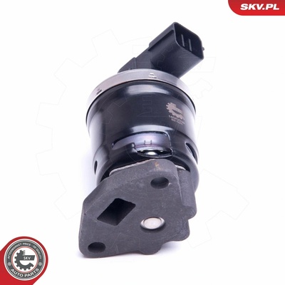 AGR - Ventil ESEN SKV 14SKV210