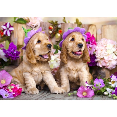 Enjoy - Puzzle Spaniel Puppies with Flower Hats - 1 000 piese