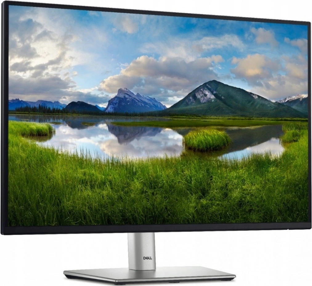Dell P2425
