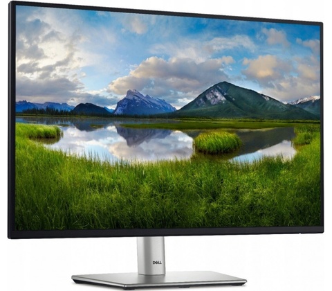 Dell P2425