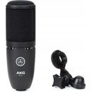 AKG P 120