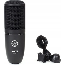 AKG P 120