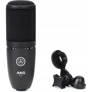 AKG P 120