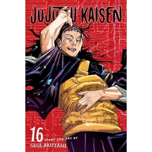 Jujutsu Kaisen, Vol. 16 (ISBN: 9781974728985)
