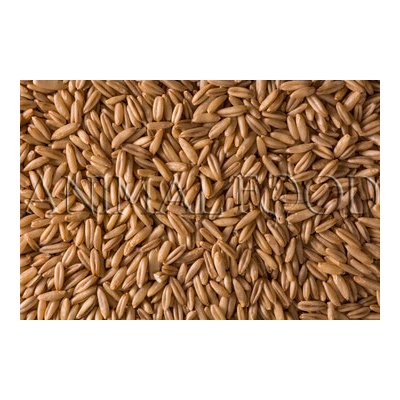 Beyers Loupaný oves 3 kg