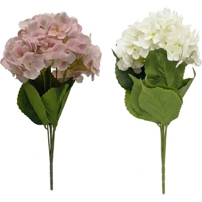 KYTICA HYDRANGEA MIX/2F