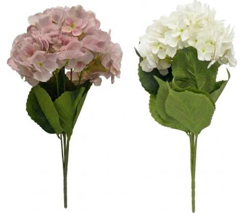 KYTICA HYDRANGEA MIX/2F