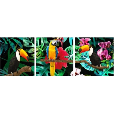 Bondecor 3dielna súprava obrazov Jungle 30 x 90 cm