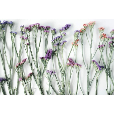 DIMEX ART Флизелинов фототапет сухи цветя 375 x 250 см