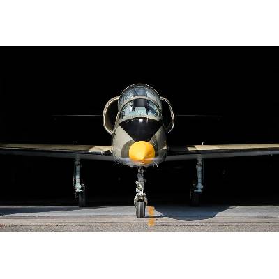 Let stíhačkou L-39 Albatros