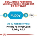 Royal Canin Bulldog Puppy 3 kg