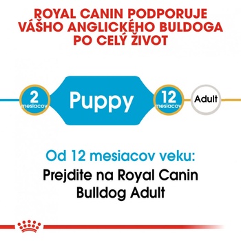 Royal Canin Bulldog Puppy 3 kg