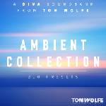 Tom Wolfe Presets Ambient Collection for Diva (Дигитален продукт)