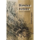 Slaměná hvězda