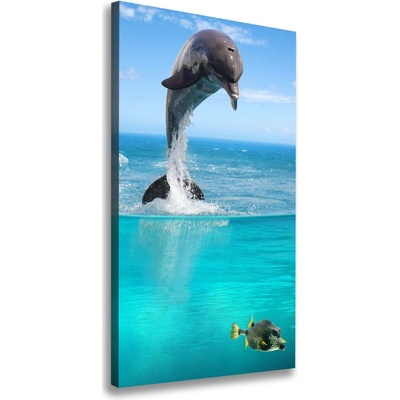Vertikálny foto obraz canvas Podvodný svet 50x100 cm