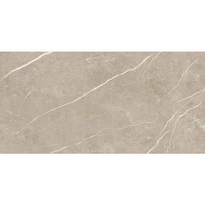 EBS Elit 60 x 120 cm greige matná 1,44m²