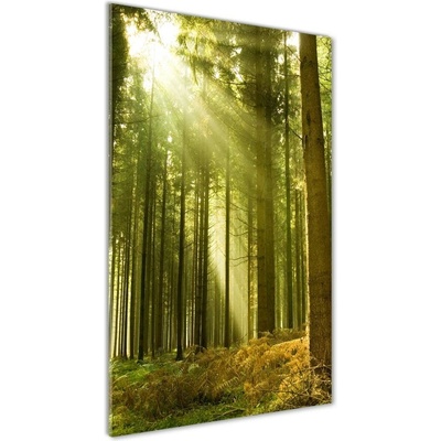 Vertikálny foto obraz sklenený Slnko v lese 50x100 cm