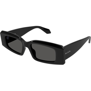 Alaïa AA0078S 001 (AA0078S 001) Слънчеви очила
