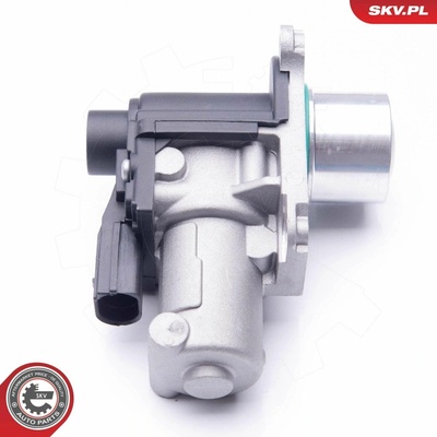 AGR - Ventil ESEN SKV 14SKV170