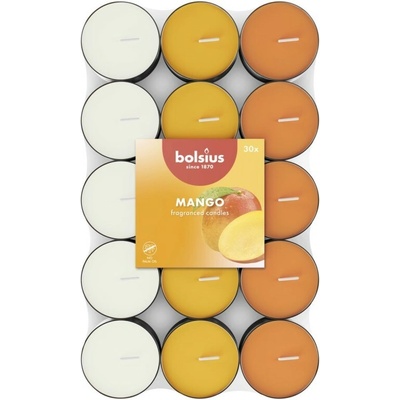 Bolsius Mango 30 ks