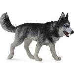 CollectA Siberian Husky Dog