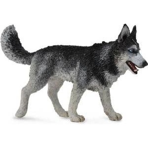 CollectA Siberian Husky Dog