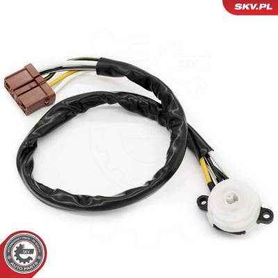 Spínač zapalování / startéru ESEN SKV 65SKV003