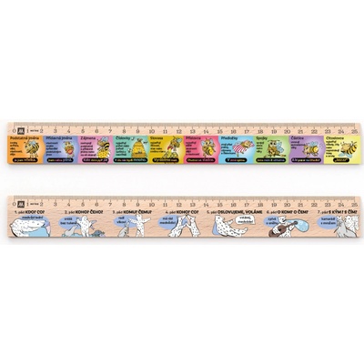 Metrie DSM09 pravítko 25 cm Slovní druhy + pravítko 25 cm Mluvnické pády