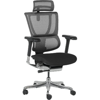 Ergohuman Ергономичен стол ergohuman ioo elite 2 - черна рамка - черен (3520667)